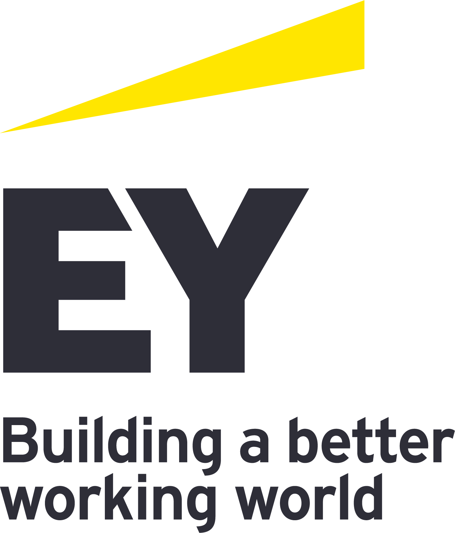 5 ernst and young