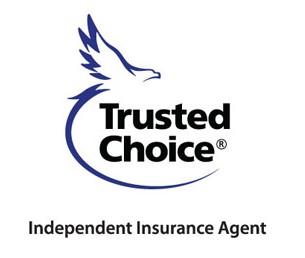 E Trusted Choice Logo