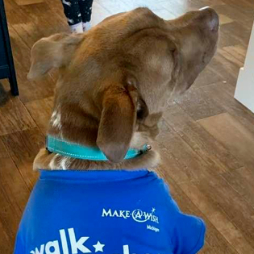 Drake sporting his Walk for Wishes t-shirt