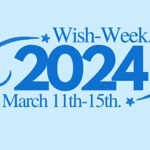 If you were to ask any member of Chi Omega about our philanthropy, I have no doubt that the answer would be the same: Make-A-Wish is the heart of Chi Omega. Make-A-Wish grants the wishes of children with critical illnesses. A wish is an intangible gift that provides the child and his or her family with hope, courage, and strength for the future.